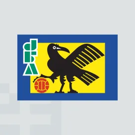 Japan football association 1